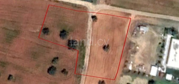 Residential field for sale in Nicosia