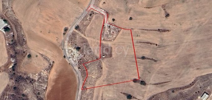 Agricultural field for sale in Nicosia