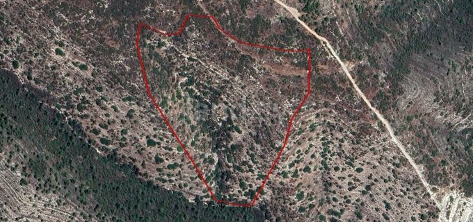 Agricultural field for sale in Limassol