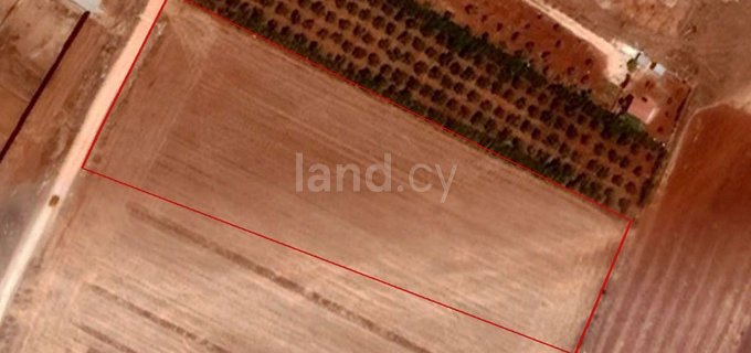 Terrain agricole à vendre à Larnaca