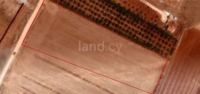 Agricultural field for sale in Larnaca