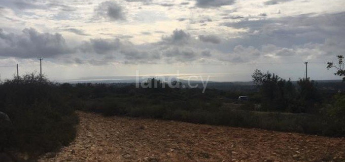 Field for sale in Limassol