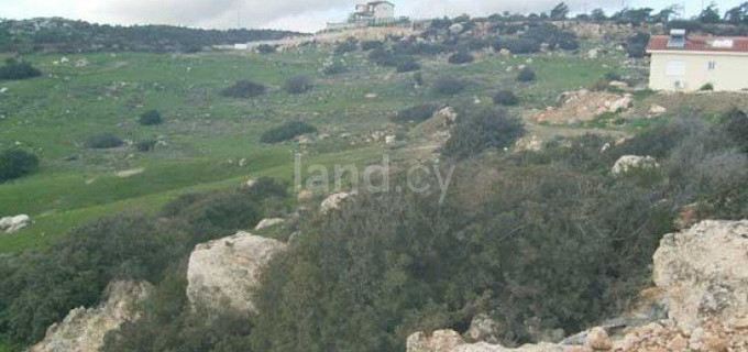 Terrain agricole à vendre à Limassol