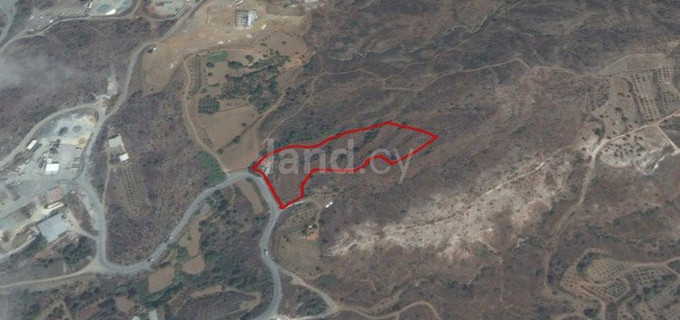 Terrain agricole à vendre à Limassol