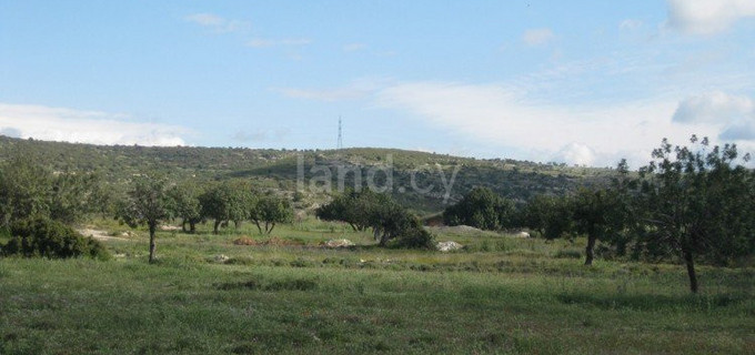 Residential field for sale in Limassol