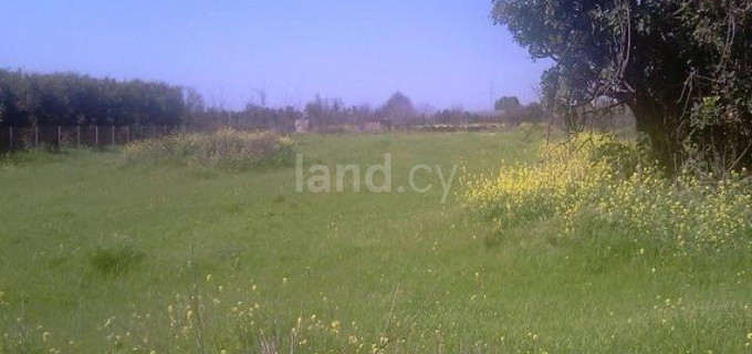 Agricultural field for sale in Limassol