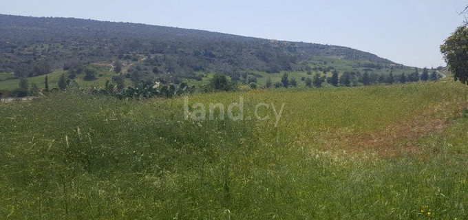 Residential field for sale in Limassol