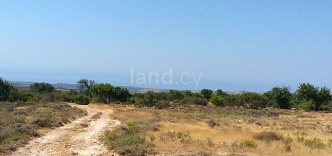 Residential field for sale in Limassol