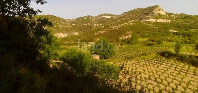 Landwirtschaftliches Baugebiet in Limassol zu verkaufen