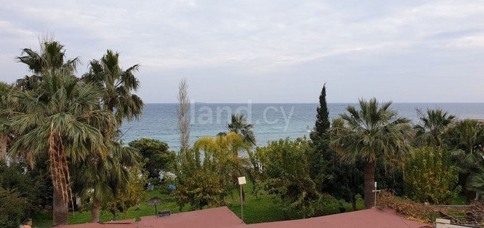 Touristic field for sale in Limassol