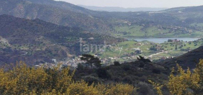 Agricultural field for sale in Limassol