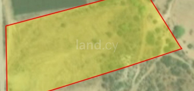 Agricultural field for sale in Limassol