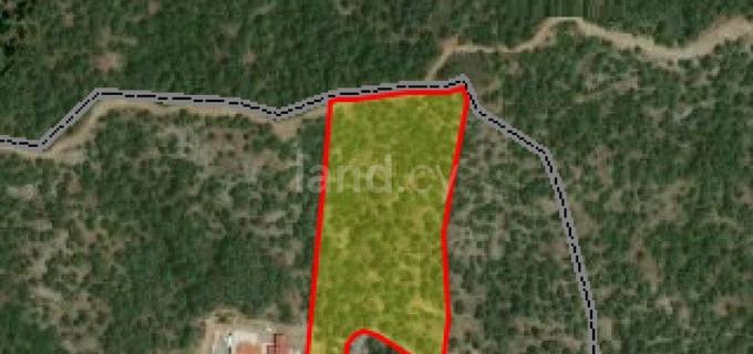 Agricultural field for sale in Limassol