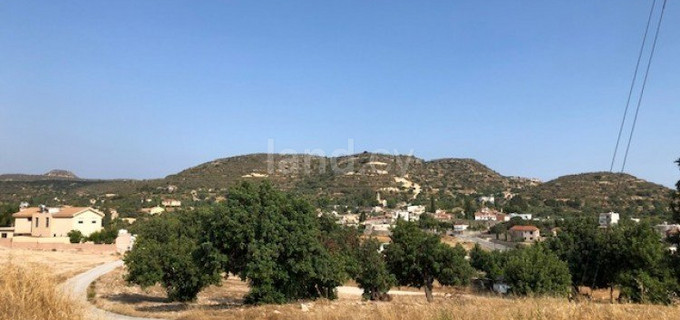 Agricultural field for sale in Limassol