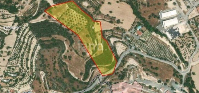 Agricultural field for sale in Limassol