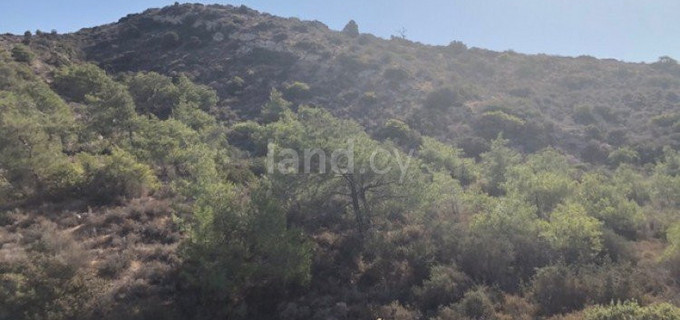 Landwirtschaftliches Baugebiet in Limassol zu verkaufen