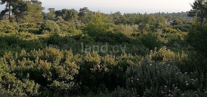 Residential field for sale in Limassol