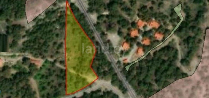 Agricultural field for sale in Limassol