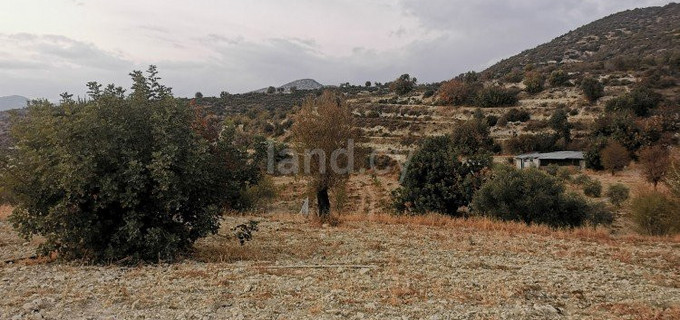 Αγροτικό αγροτεμάχιο προς πώληση - Λεμεσός