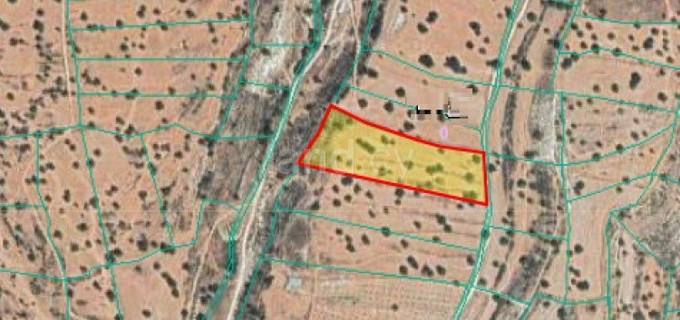 Agricultural field for sale in Limassol