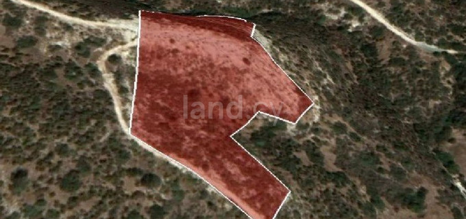 Residential field for sale in Limassol