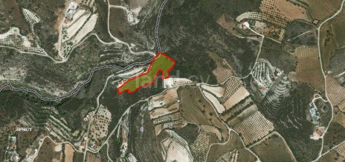 Agricultural field for sale in Paphos