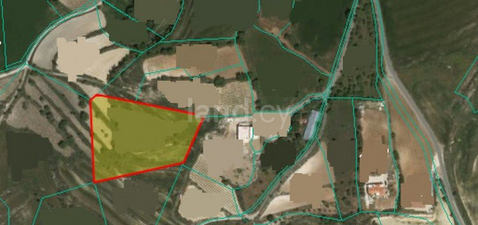 Residential field for sale in Paphos