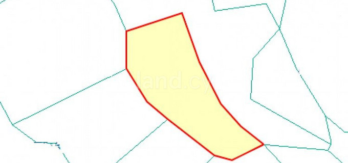 Residential field for sale in Paphos