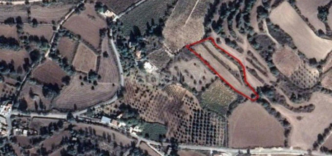 Residential plot for sale in Paphos