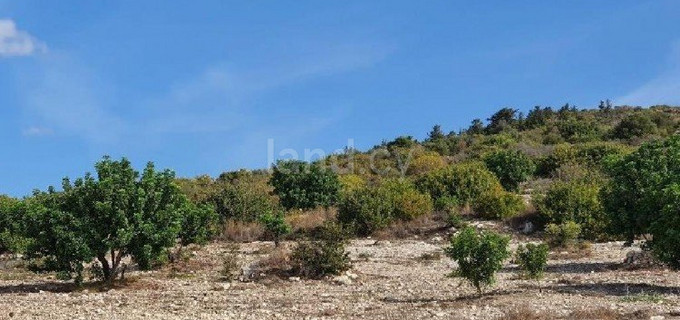 Parcelle résidentielle à vendre à Paphos