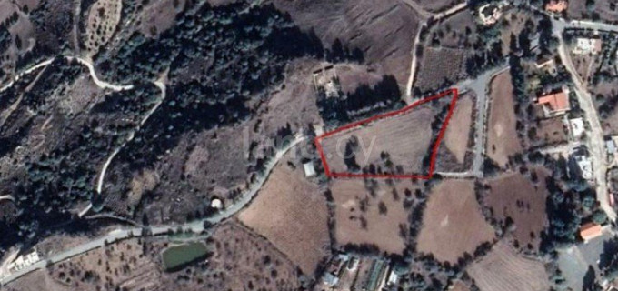 Residential plot for sale in Paphos