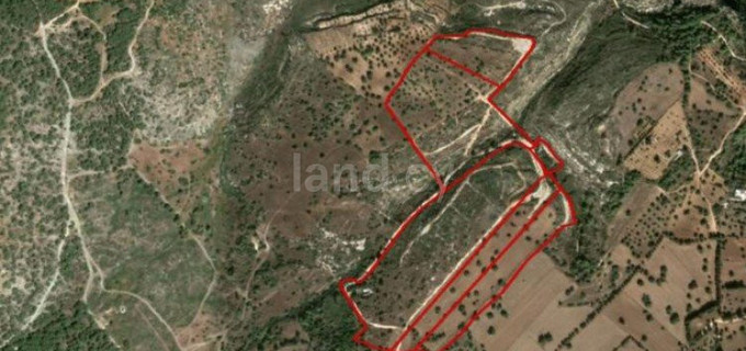 Agricultural field for sale in Paphos