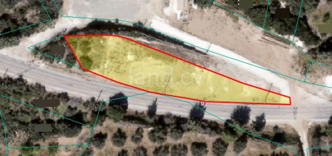 Field for sale in Paphos