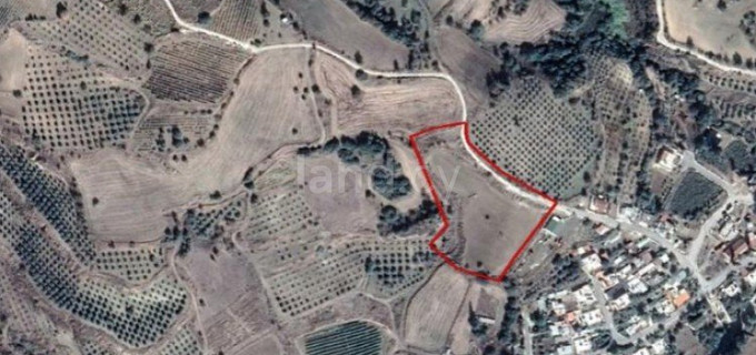 Residential plot for sale in Paphos