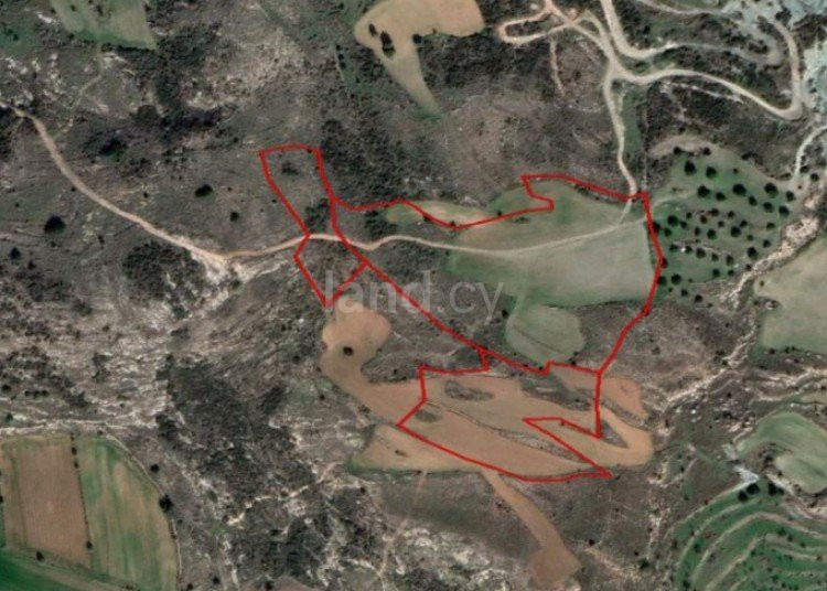 Αγροτικό αγροτεμάχιο προς πώληση - Πάφος