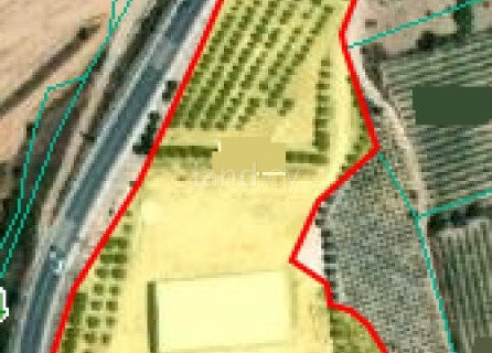 Agricultural field for sale in Paphos