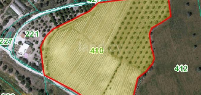 Agricultural field for sale in Paphos