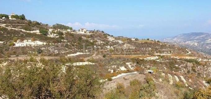 Agricultural field for sale in Paphos