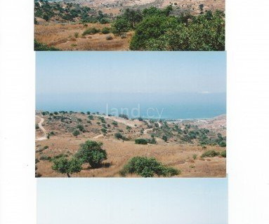 Сельскохозяйственное поле на продажу в Пафос