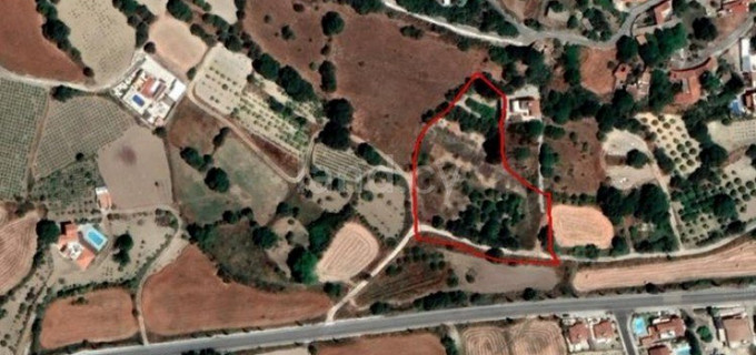 Residential field for sale in Paphos