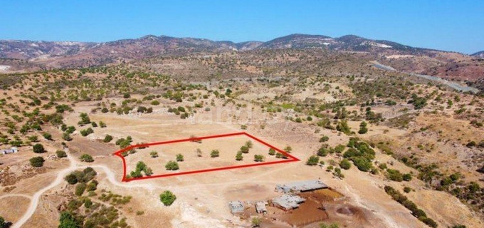 Residential field for sale in Paphos