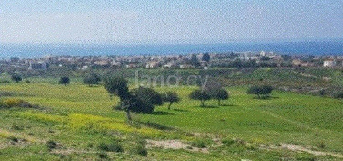 Residential field for sale in Paphos