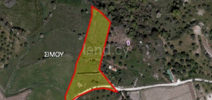 Residential field for sale in Paphos