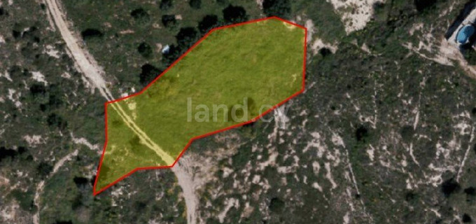 Residential field for sale in Paphos