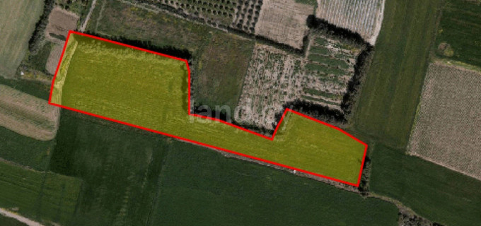 Agricultural field for sale in Paphos