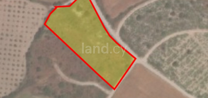 Agricultural field for sale in Paphos