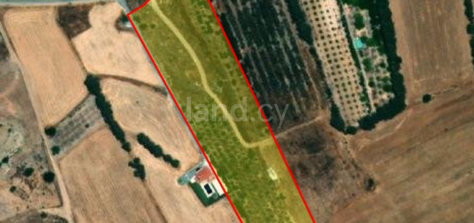 Residential field for sale in Paphos