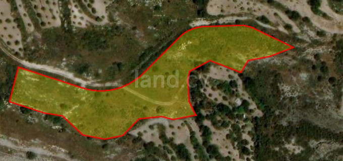 Residential field for sale in Paphos