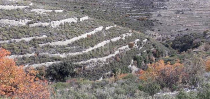 Landwirtschaftliches Baugebiet in Limassol zu verkaufen