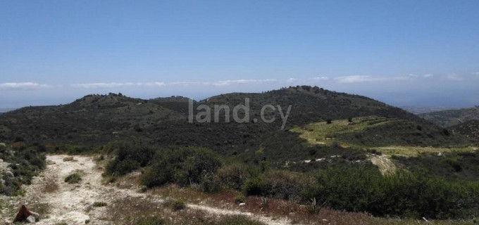 Landwirtschaftliches Baugebiet in Paphos zu verkaufen